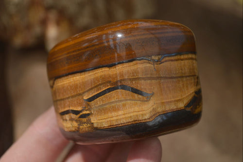 Polished Tiger's Eye Free Forms x 4 From Prieska, South Africa - Toprock Gemstones and Minerals 