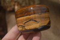 Polished Tiger's Eye Free Forms x 4 From Prieska, South Africa