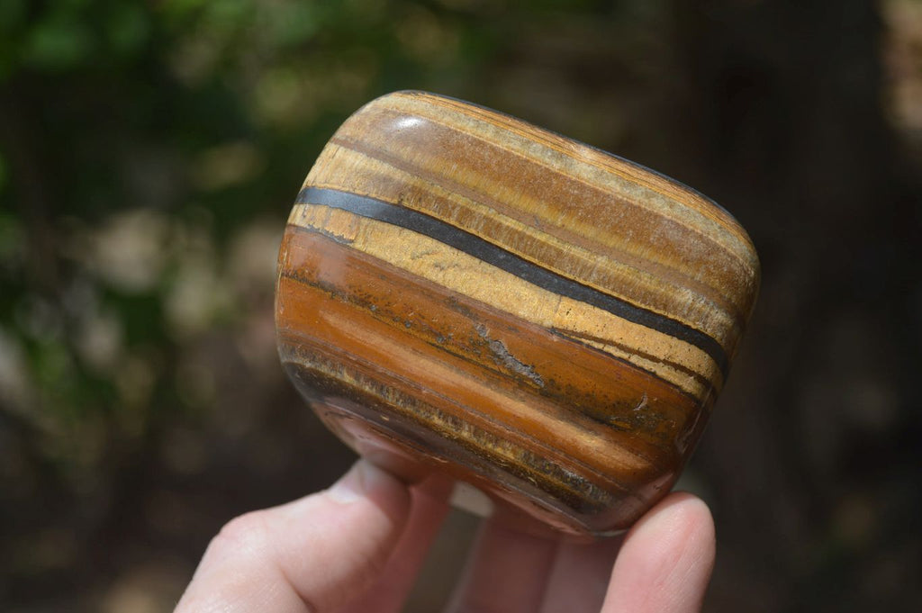 Polished Tiger's Eye Free Forms x 4 From Prieska, South Africa - Toprock Gemstones and Minerals 