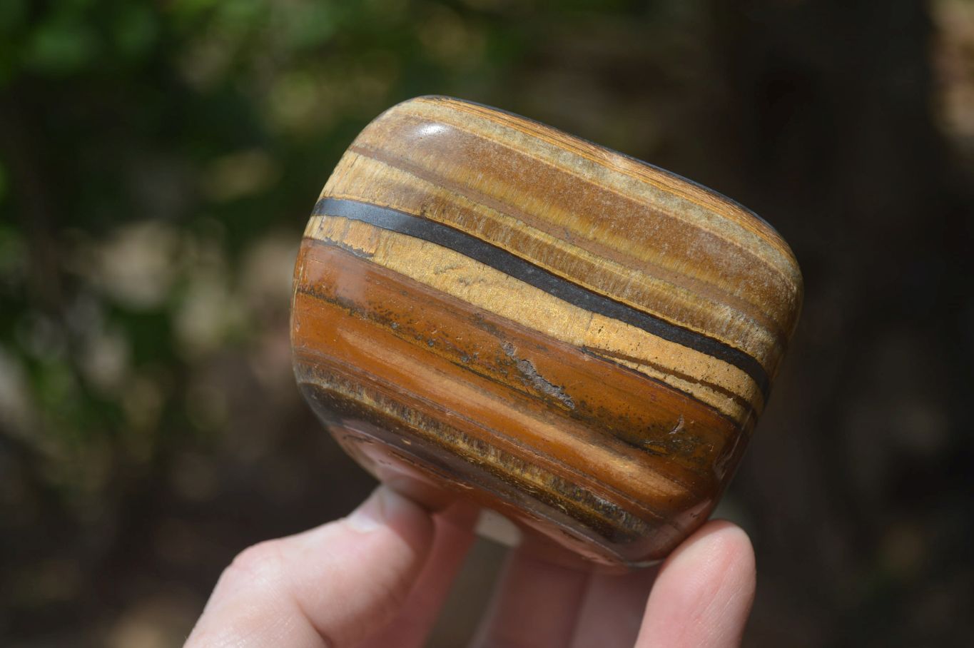 Polished Tiger's Eye Free Forms x 4 From Prieska, South Africa - Toprock Gemstones and Minerals 