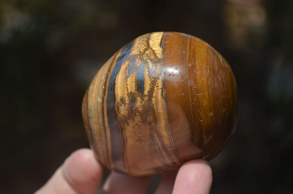 Polished Tiger's Eye Free Forms x 4 From Prieska, South Africa - Toprock Gemstones and Minerals 