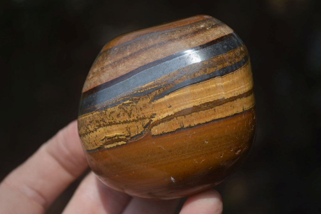 Polished Tiger's Eye Free Forms x 4 From Prieska, South Africa - Toprock Gemstones and Minerals 