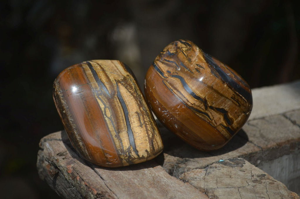 Polished Tiger's Eye Free Forms x 4 From Prieska, South Africa - Toprock Gemstones and Minerals 