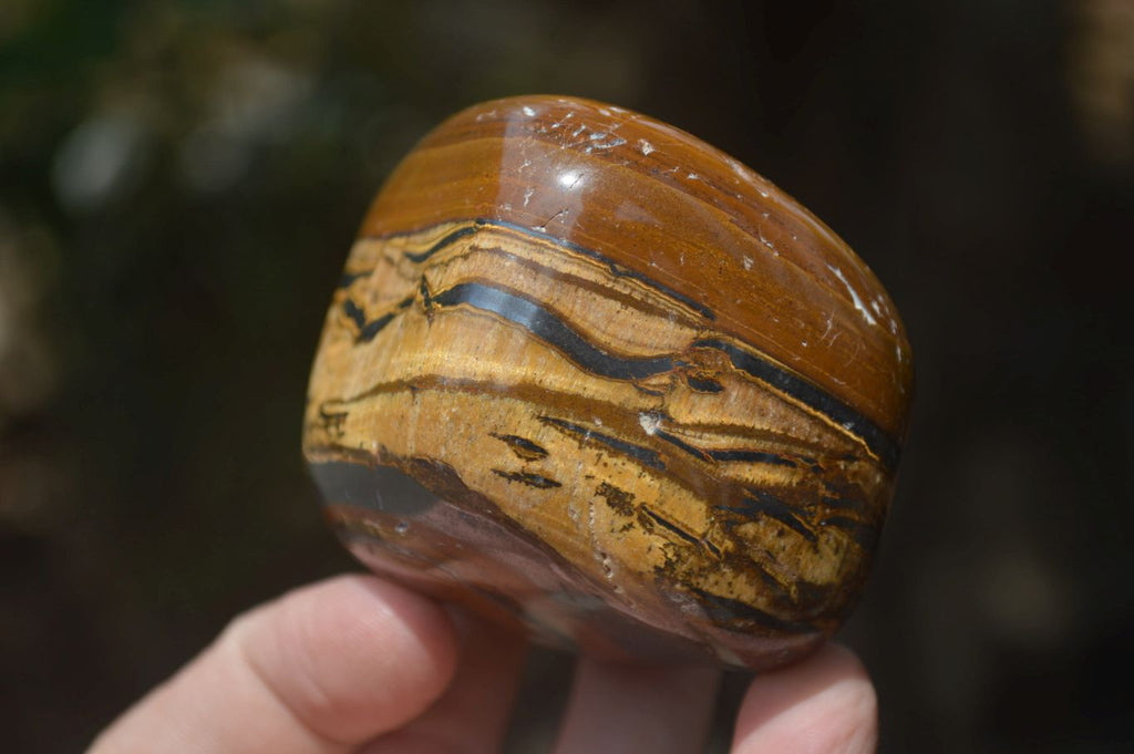 Polished Tiger's Eye Free Forms x 4 From Prieska, South Africa - Toprock Gemstones and Minerals 