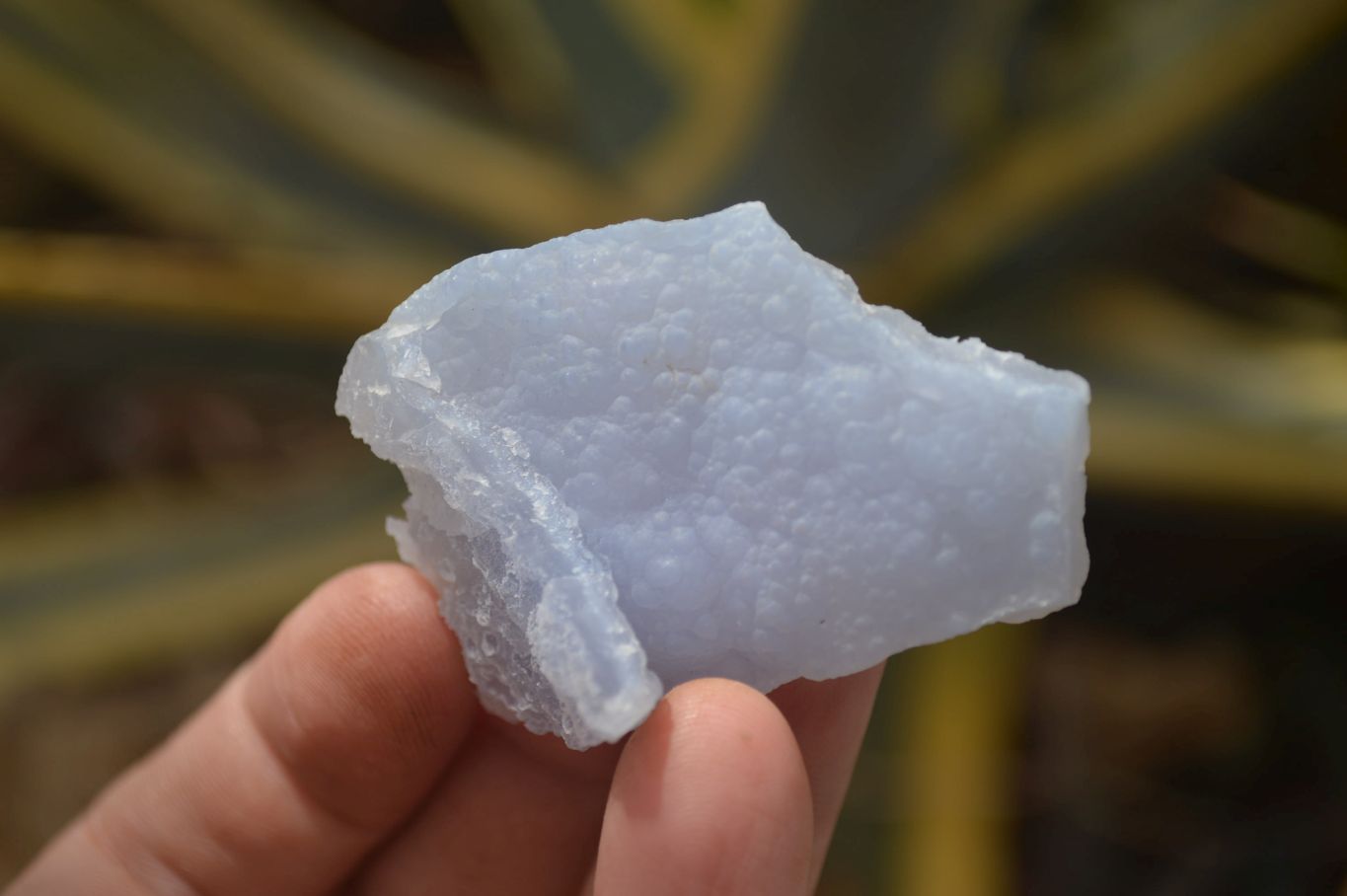 Natural Etched Blue Chalcedony Specimens x 24 From Nsanje, Malawi - Toprock Gemstones and Minerals 