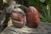 Polished Podocarpus Petrified Wood Standing Free Forms x 2 From Mahajanga, Madagascar - Toprock Gemstones and Minerals 