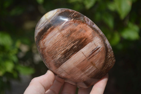 Polished Podocarpus Petrified Wood Standing Free Forms x 2 From Mahajanga, Madagascar - Toprock Gemstones and Minerals 