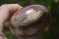 Polished Podocarpus Petrified Wood Standing Free Forms x 2 From Mahajanga, Madagascar - Toprock Gemstones and Minerals 