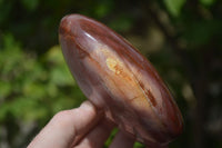 Polished Podocarpus Petrified Wood Standing Free Forms x 2 From Mahajanga, Madagascar - Toprock Gemstones and Minerals 