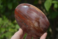 Polished Podocarpus Petrified Wood Standing Free Forms x 2 From Mahajanga, Madagascar - Toprock Gemstones and Minerals 