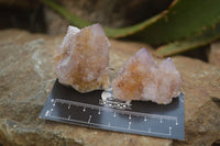 Natural Spirit Quartz Clusters x 12 From Boekenhouthoek, South Africa - Toprock Gemstones and Minerals 