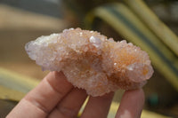 Natural Spirit Quartz Clusters x 12 From Boekenhouthoek, South Africa - Toprock Gemstones and Minerals 