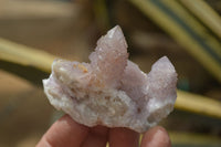 Natural Spirit Quartz Clusters x 12 From Boekenhouthoek, South Africa - Toprock Gemstones and Minerals 