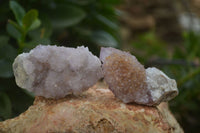 Natural Spirit Quartz Clusters x 12 From Boekenhouthoek, South Africa - Toprock Gemstones and Minerals 