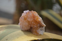 Natural Spirit Quartz Clusters x 12 From Boekenhouthoek, South Africa - Toprock Gemstones and Minerals 