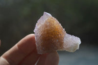 Natural Spirit Quartz Clusters x 12 From Boekenhouthoek, South Africa - Toprock Gemstones and Minerals 