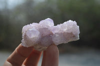 Natural Spirit Quartz Clusters x 12 From Boekenhouthoek, South Africa - Toprock Gemstones and Minerals 