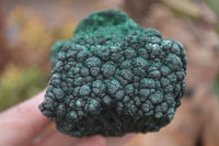 Natural Silky Malachite Specimens x 4 From Kasompe, Congo - Toprock Gemstones and Minerals 