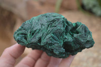 Natural Silky Malachite Specimens x 4 From Kasompe, Congo - Toprock Gemstones and Minerals 