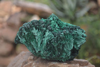 Natural Silky Malachite Specimens x 4 From Kasompe, Congo - Toprock Gemstones and Minerals 