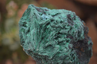 Natural Silky Malachite Specimens x 4 From Kasompe, Congo - Toprock Gemstones and Minerals 