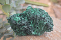 Natural Silky Malachite Specimens x 4 From Kasompe, Congo - Toprock Gemstones and Minerals 