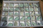 Polished Amazonite Free Forms x 35 From Zimbabwe - Toprock Gemstones and Minerals 