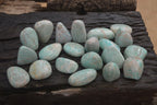 Polished Amazonite Free Forms x 35 From Zimbabwe - Toprock Gemstones and Minerals 