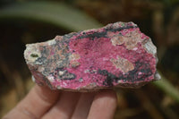 Natural Salrose Cobaltion Dolomite Specimens x 12 From Kakanda, Congo - Toprock Gemstones and Minerals 
