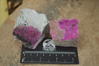 Natural Salrose Cobaltion Dolomite Specimens x 12 From Kakanda, Congo - Toprock Gemstones and Minerals 