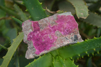 Natural Salrose Cobaltion Dolomite Specimens x 12 From Kakanda, Congo - Toprock Gemstones and Minerals 