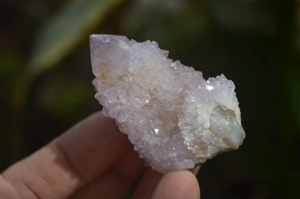 Natural Ametrine Spirit Quartz Crystals x 24 From Boekenhouthoek, South Africa - Toprock Gemstones and Minerals 