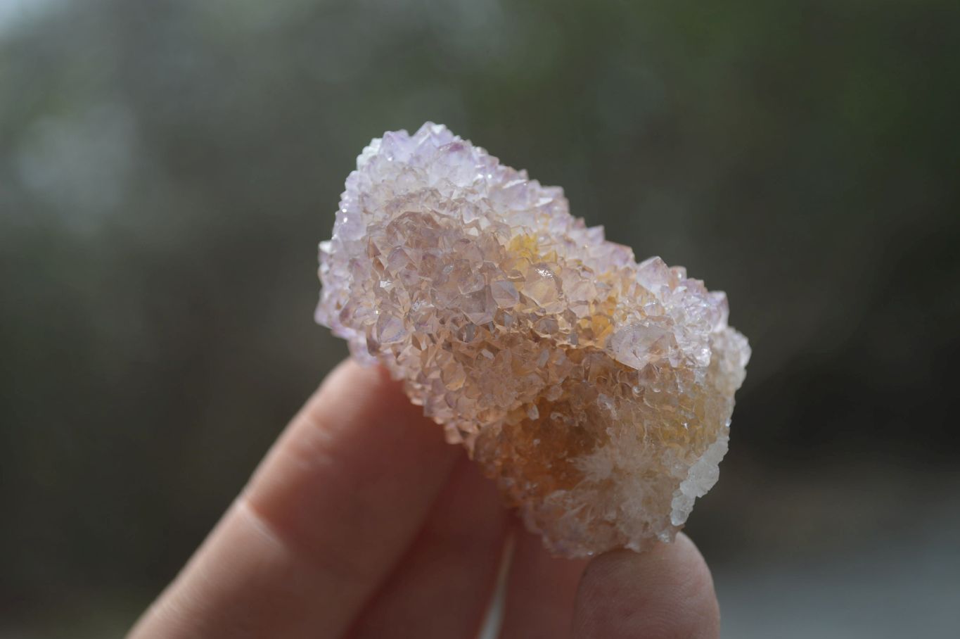 Natural Ametrine Spirit Quartz Crystals x 24 From Boekenhouthoek, South Africa - Toprock Gemstones and Minerals 