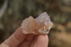 Natural Ametrine Spirit Quartz Crystals x 24 From Boekenhouthoek, South Africa - Toprock Gemstones and Minerals 