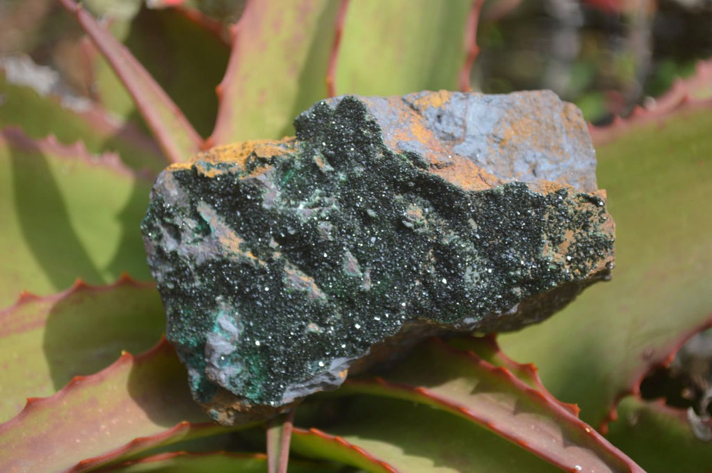 Natural Libethenite Crystals On Dolomite Matrix Specimens x 2 From Shituru, Congo - Toprock Gemstones and Minerals 