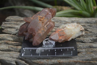 Natural Red Hematoid Quartz Crystal Specimens x 12 From Zimbabwe - Toprock Gemstones and Minerals 