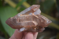 Natural Red Hematoid Quartz Crystal Specimens x 12 From Zimbabwe - Toprock Gemstones and Minerals 