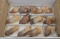 Natural Red Hematoid Quartz Crystal Specimens x 12 From Zimbabwe - Toprock Gemstones and Minerals 