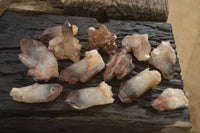 Natural Red Hematoid Quartz Crystal Specimens x 12 From Zimbabwe - Toprock Gemstones and Minerals 