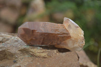 Natural Red Hematoid Quartz Crystal Specimens x 12 From Zimbabwe - Toprock Gemstones and Minerals 