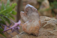 Natural Red Hematoid Quartz Crystal Specimens x 12 From Zimbabwe - Toprock Gemstones and Minerals 