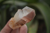 Natural Red Hematoid Quartz Crystal Specimens x 12 From Zimbabwe - Toprock Gemstones and Minerals 
