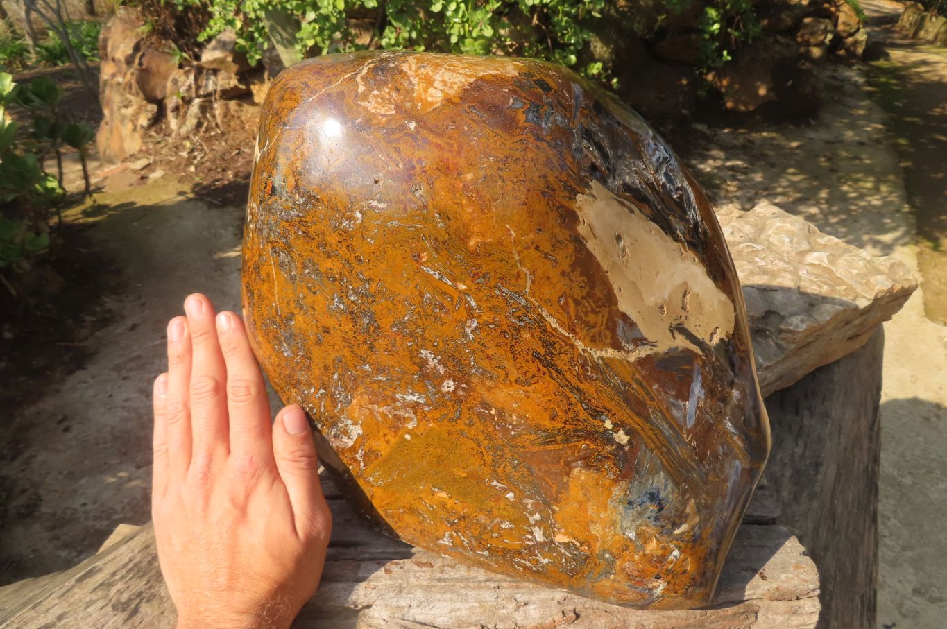 Polished Extra Rare Pietersite Display Piece x 1 From Outjo, Namibia - Toprock Gemstones and Minerals 