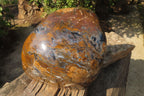 Polished Extra Rare Pietersite Display Piece x 1 From Outjo, Namibia - Toprock Gemstones and Minerals 