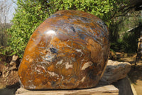 Polished Extra Rare Pietersite Display Piece x 1 From Outjo, Namibia - Toprock Gemstones and Minerals 