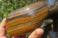 Polished Tiger's Eye Free Forms x 3 From Prieska, South Africa