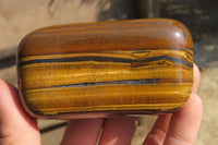 Polished Tiger's Eye Free Forms x 3 From Prieska, South Africa