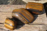 Polished Tiger's Eye Free Forms x 3 From Prieska, South Africa