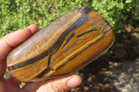 Polished Tiger's Eye Free Forms x 3 From Prieska, South Africa