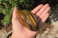 Polished Tiger's Eye Free Forms x 3 From Prieska, South Africa